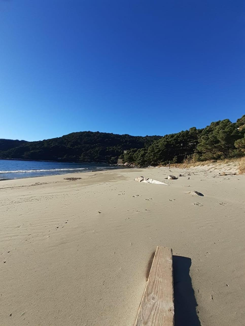 Apartment Nadine Mljet Mit Meerblick Okuklje Екстер'єр фото
