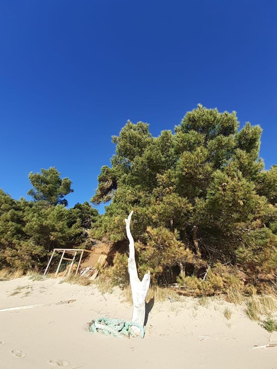 Apartment Nadine Mljet Mit Meerblick Okuklje Екстер'єр фото