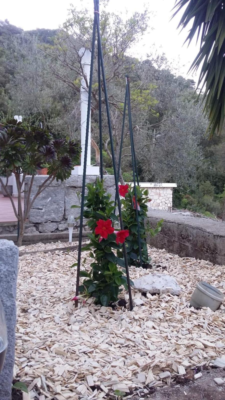 Apartment Nadine Mljet Mit Meerblick Okuklje Екстер'єр фото